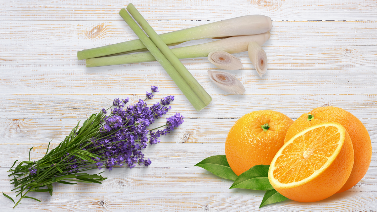 3 Irresistible Aromas That Symbolise A Clean And Welcoming Home