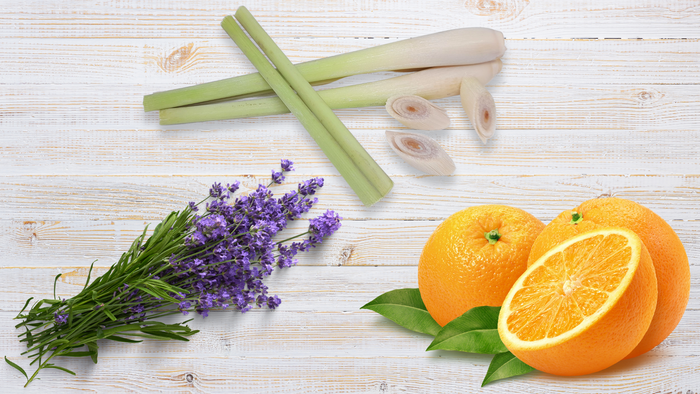 3 Irresistible Aromas That Symbolise A Clean And Welcoming Home