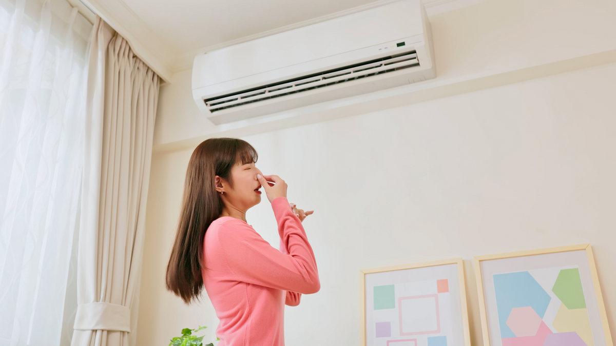 7 Hidden Signs of Mold in Your Home