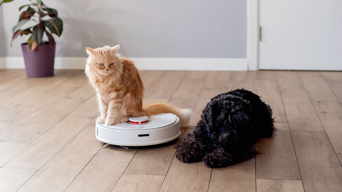 7 Smart Home Cleaning Ideas for Year-Round Spotlessness