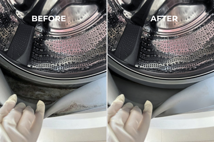 How to Remove Mold Stains from Your Washing Machine Seal, Drum & Detergent Drawer