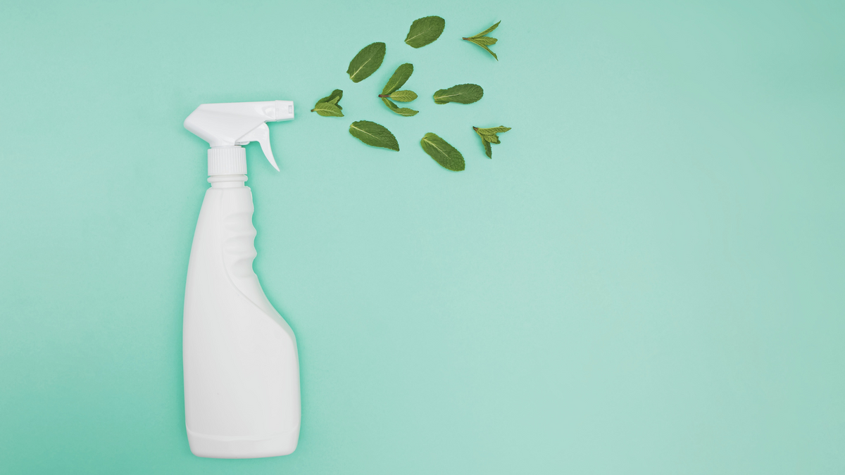 3 Eco-Friendly Tips to Remove Waste From Household Cleaning Practices