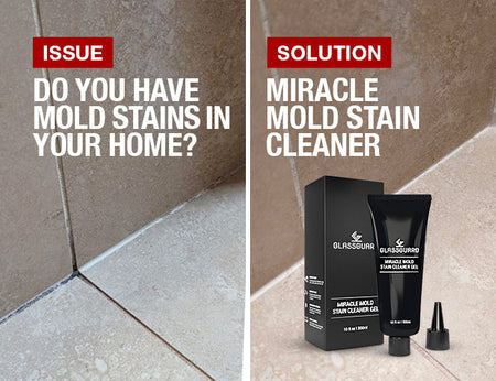 Why Your Bathroom Mold Stains Keep Coming Back (And How to Stop Them)