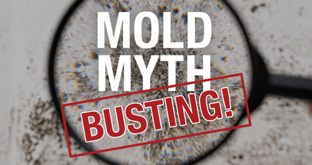 Mold Myth Busting: 4 Mold Stain Removal Myths (And What Actually Works)