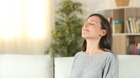 How Can I Make My House Feel Fresh? (3 Pro Tips)