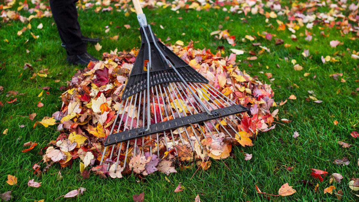 How Do I Prepare My Home for Fall? (3 Tried & Tested Cleaning Tips)
