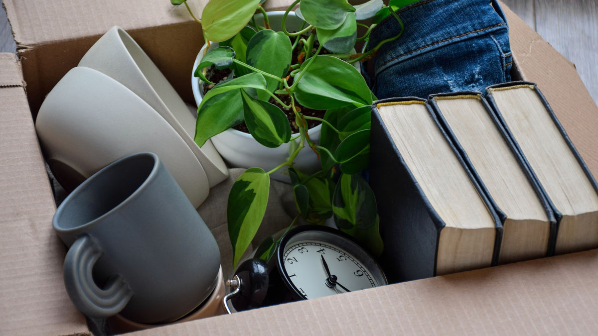 What is the 5-Year Rule for Decluttering? (5 Reasons It Could Work For You)